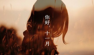 11月励志句子 有哪些经典语录