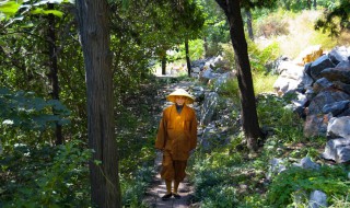 晨钟暮鼓什么意思 你理解这个词吗