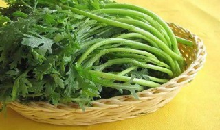 菊花菜的保鲜方法 可以冷冻保存