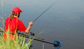 秋季夜钓打窝方法 秋季夜钓打窝钓鱼的方法介绍