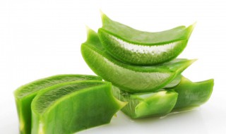 芦荟的食用方法大全 芦荟的食用做法大全介绍