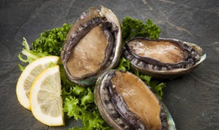 鲍鱼杀了后怎么保存 用什么保存方法最好