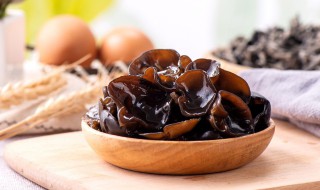 湿木耳怎么保存 如何保存湿木耳