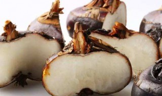 荸荠怎么保存久 荸荠如何保存久