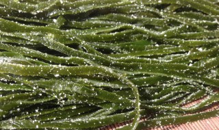 新鲜盐渍海带怎么保存 新鲜盐渍海带保存方法介绍