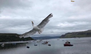 沧海是什么意思 求沧海这个词的多种含义