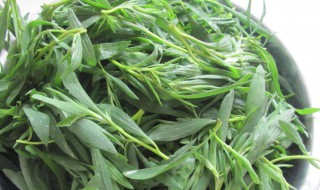 面条菜怎么做好吃 面条菜的2种做法介绍