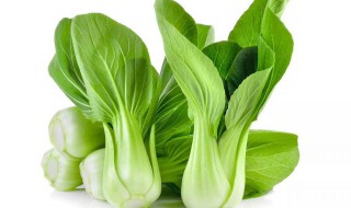 给青菜补充营养的方法 给蔬菜“补营养”关键点一定要抓好