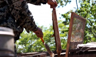 一年四季养蜂方法总结 蜜蜂养殖技术集锦