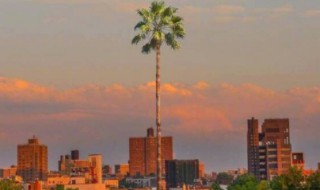 朋友圈配文文艺简短 简短文艺的朋友圈说说