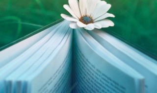 友情破裂的句子说说 友情破裂的伤感句子