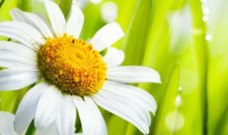 关于健康的简短小故事 关于健康的小故事