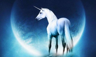 独角兽寓意 独角兽的介绍