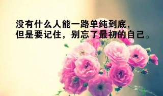 语录大全人生感悟 人生感悟的句子大全