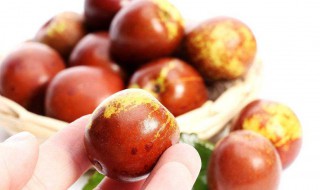 冬枣的保存方法 关于冬枣的保存方法