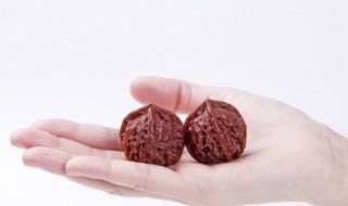 核桃怎么盘正确方法 新入手核桃盘玩方法