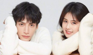 半是蜜糖半是伤是喜剧吗 半是蜜糖半是伤介绍