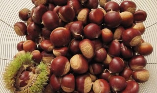 鲜板栗的保存方法 鲜板栗怎么保存