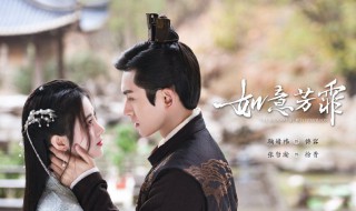 如意芳霏肃王为什么娶正妃 如意芳霏简介