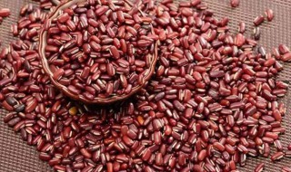 赤小豆的种植方法 赤小豆的种植方法介绍