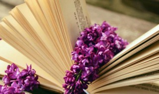 关于帮助的优美句子 帮助别人的优美句子