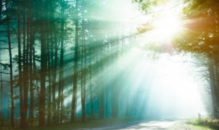 林壑尤美的壑什么意思 林壑尤美的意思