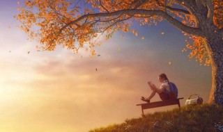 对人生感悟的经典句子 对人生感悟的经典句子有哪些