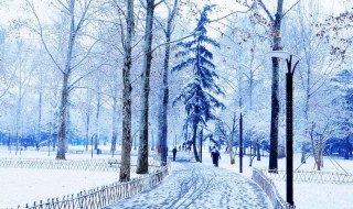 关于下雪的说说短句 下雪时发的说说句子