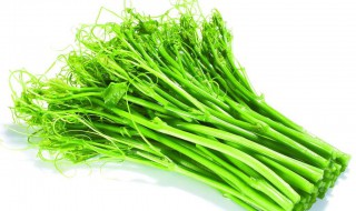 龙须菜怎么做好吃 凉拌龙须菜的做法