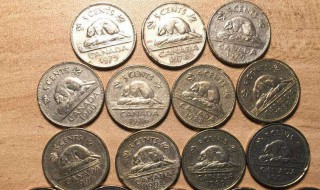 最有效清洗硬币的方法 清洗硬币的方法介绍