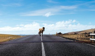 关关难过关关过的意思 关关难过关关过的解释