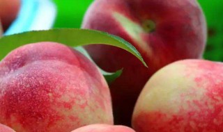 鲜桃怎么保存 鲜桃如何保存