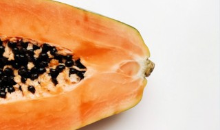 木瓜代表什么意思 木瓜的含义