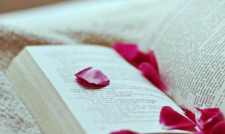 关于追星唯美句子 追星女孩必备的句子