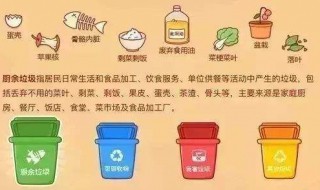 厨余垃圾的处理方法 怎样处理厨余垃圾
