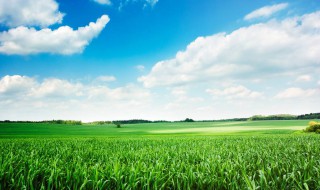 春天励志语录 关于春天励志的经典语录