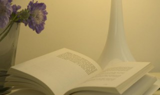 问世间情为何物的意思 问世间情为何物这句话是什么意思