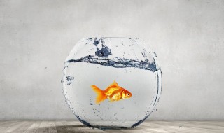 2020很现实的话 生活现实又很扎心的句子