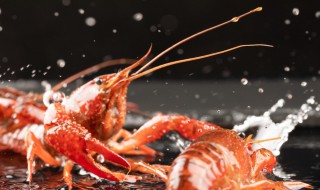 小龙虾运输储存方法 这三种方式最常见