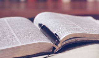 浅草才能没马蹄的意思 浅草才能没马蹄翻译