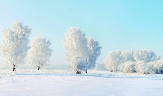 这个冬天有点冷的说说 这个冬天有点冷的心情说说