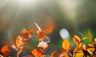 秋末在几月份 秋末是几月份