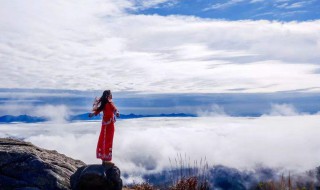 万千宠爱于一身是什么意思 万千宠爱于一身的解释及出处