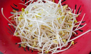 豆芽买多了怎么保存 豆芽怎么保存