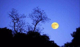 我寄愁心与明月的与是什么意思 闻王昌龄左迁龙标遥有此寄原文及翻译