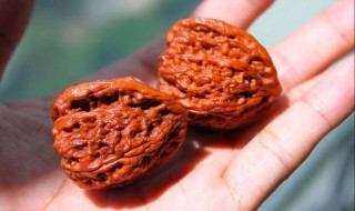 核桃把玩方法 核桃把玩方法有什么