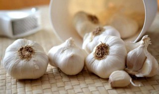 去除大蒜口气的方法 怎么去除大蒜口气