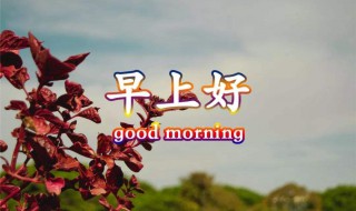 早晨语录优美句子 早上好的优美句子