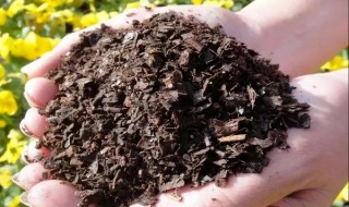 自制营养土的方法 怎么自制营养土