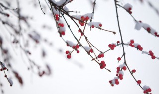 清晨天气冷的早安说说 清晨天气冷的早安说说列述
